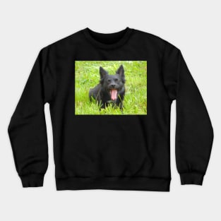 Sunny Yawn Crewneck Sweatshirt